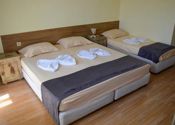 Affittacamere Edelvais Primorsko